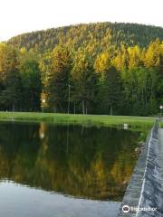 Parc provincial - Sugarloaf - Provincial Park