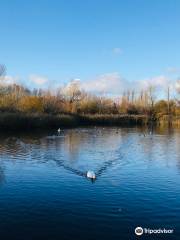 Bedfont Lakes Country Park