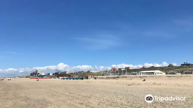 Honden strand Noordwijk