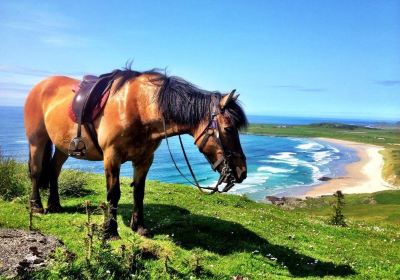 Islay