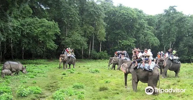 4_Chitwan Jungle Safari