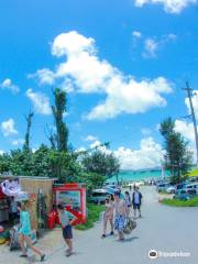 Kouri Island beach side