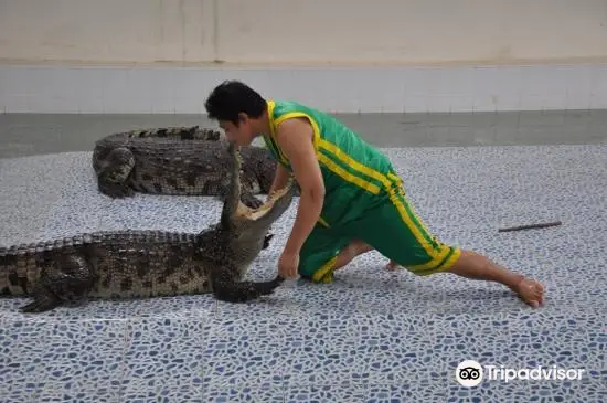 Baan chivit crocodile show