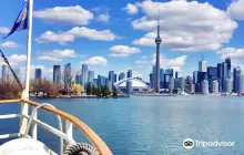 City Cruises Toronto