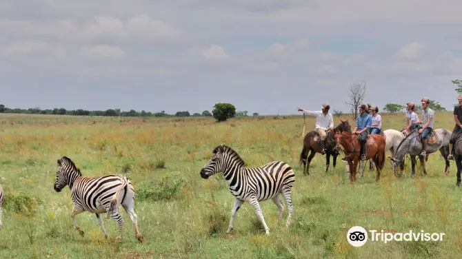 5_Horseback Africa