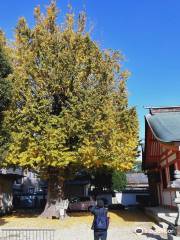 Meinohama Sumiyoshi Shrine