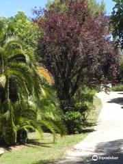 Parc Areca Jardin Botanique