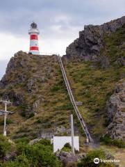 Cape Palliser Lighthouse