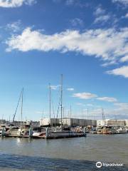 Tokyo Yumenoshima Marina