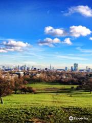 Primrose Hill