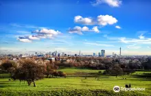 Primrose Hill