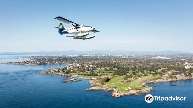 4_Harbour Air Seaplanes