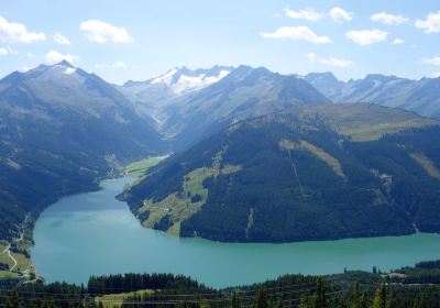 Wald im Pinzgau