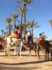 Marrakech Quad Evasion