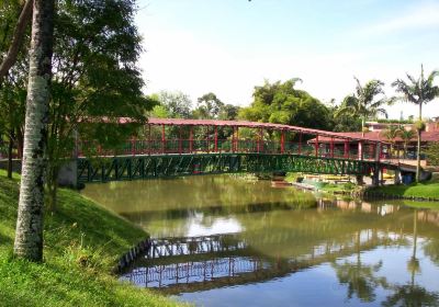 Valle Del Cauca