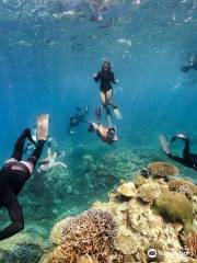 Sea Dragon Dive Center, Khao Lak