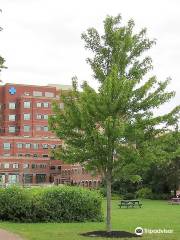 Moncton Public Library