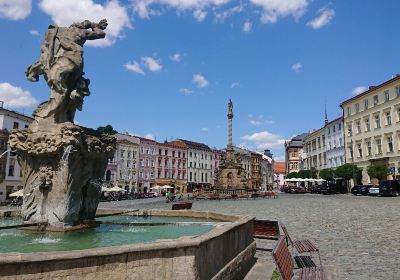 Magistrát města Olomouce