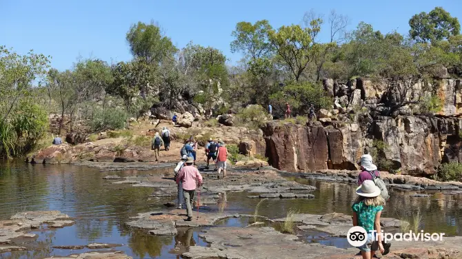 3_Mitchell River National Park