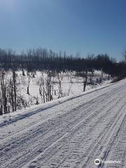 Nepisiguit Snowmobile Trails