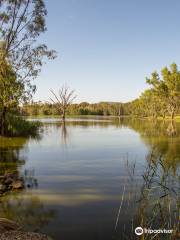 Wonga Wetlands