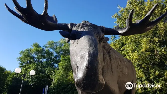 2_Moose Sculpture