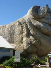 The Big Merino