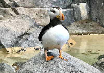 Alaska SeaLife Center