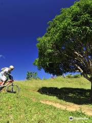 Cebu Mountain Bike Adventure