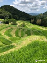 大山千枚田