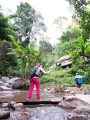 Thailand Mountain Trail