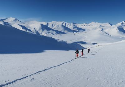 Svalbard Wildlife Expeditions