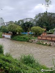 Kinta River