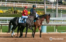 Santa Anita Park