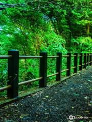 Tohoku University Botanical Gardens