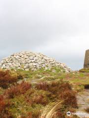 Ticknock Forest