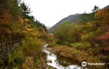 계룡산국립공원 수통골지구