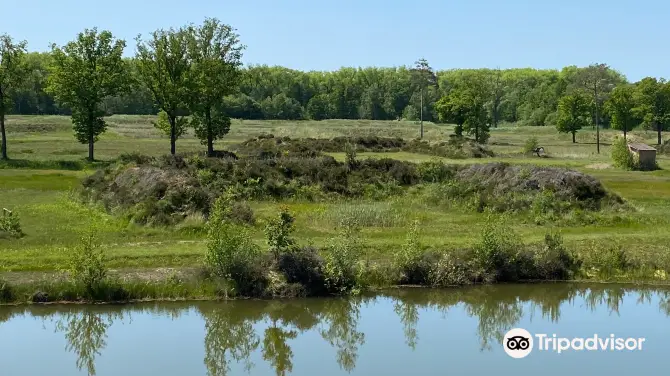 1_Vloethemveld