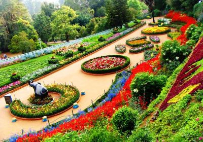 Ooty