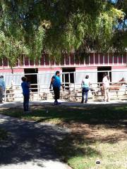 Montebello Barnyard Zoo