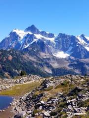 Mt Baker Ski Area