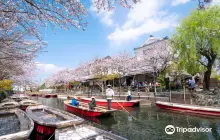 Yanagawa Punting （Yanagawa Kanko Kaihatsu）