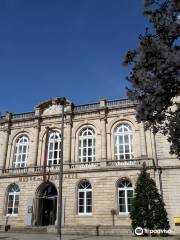 Musee des Beaux Arts