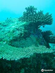 Dive Seychelles Underwater Centre