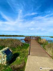 Cosumnes River Preserve