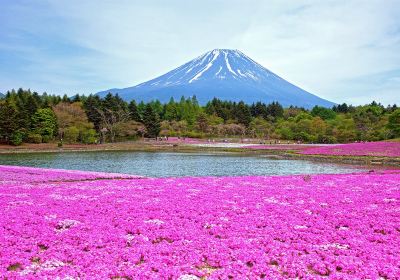 Fuji Five Lakes