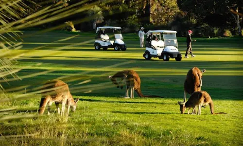 Golf in Perth