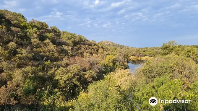 4_Mabalingwe Nature Reserve