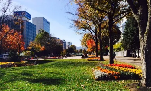 Odori Park