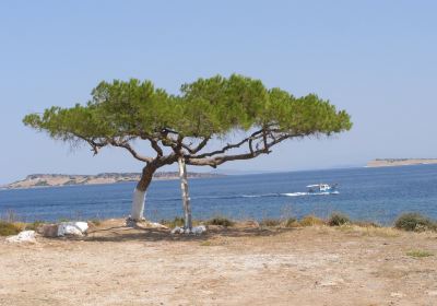 Agios Stefanos Beach